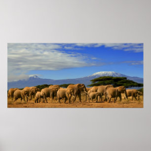 Kilimanjaro And Elephants Poster