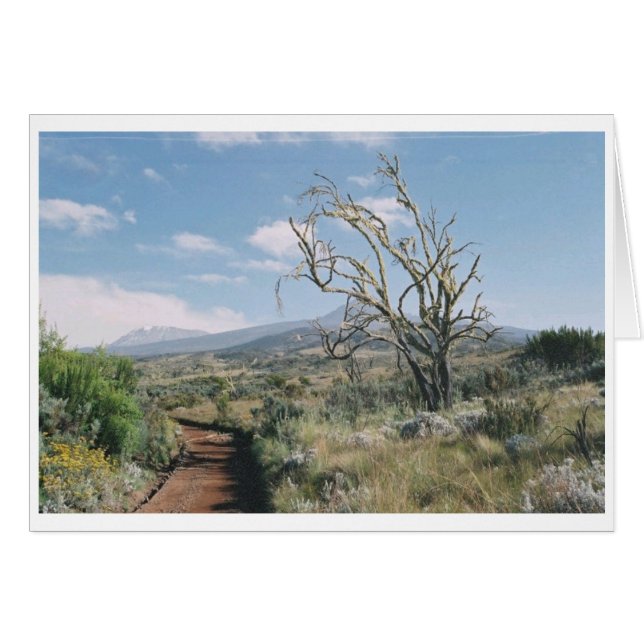 Kilimanjaro Moorlands Card (Vorderseite (Horizontal))