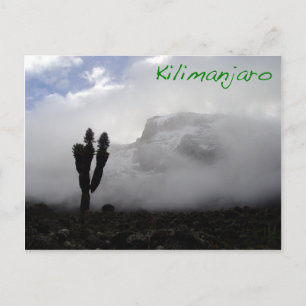 Kilimanjaro Postkarte