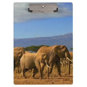 Kilimanjaro und Elefanten Klemmbrett