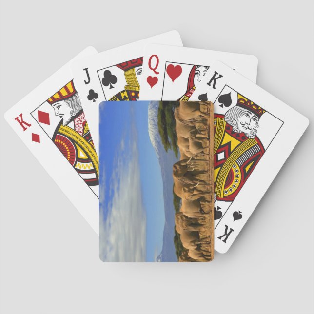 Kilimanjaro und Elefanten Spielkarten (Rückseite)