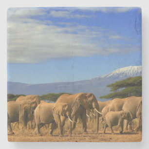 Kilimanjaro und Elefanten Steinuntersetzer