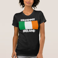 Kilkenny, Irland mit irischer Flagge