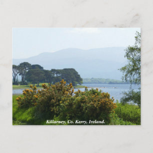 Killarney am See, County Kerry, Irland Postkarte