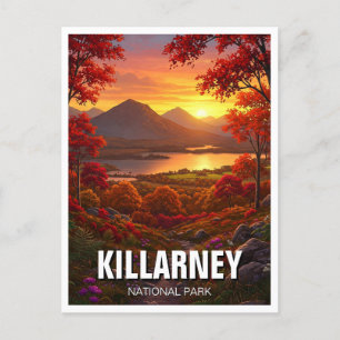 Killarney National Park Ireland Travel Postkarte
