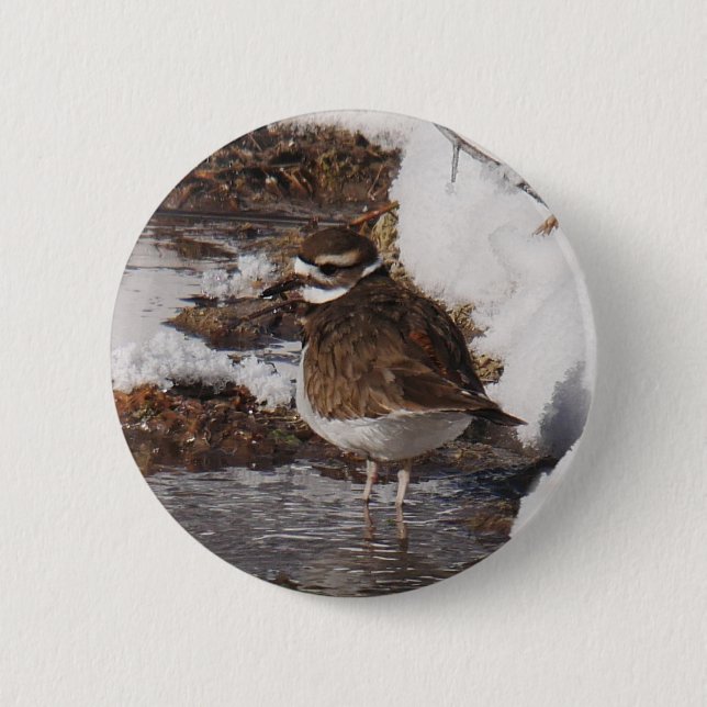 Killdeer-Abzeichen Button (Vorderseite)