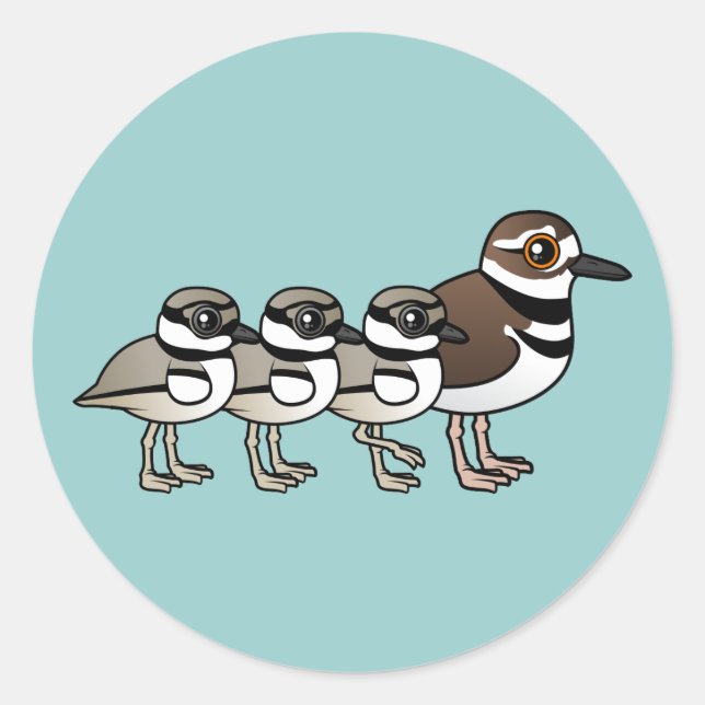 Killdeer & drei Küken Runder Aufkleber (Vorderseite)