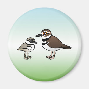 Killdeer u. Küken Magnet