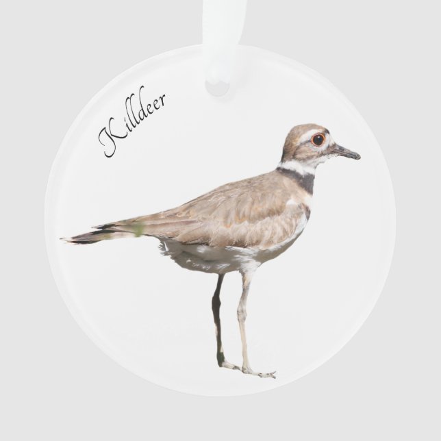 Killdeer-Vogel Ornament (Vorderseite)