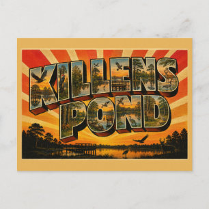 Killens Pond Delaware Mühlteich Wald Feuchtgebiet Postkarte