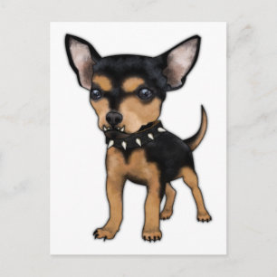 Killer Chihuahua Postkarte
