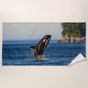 Killer Whale Breaching out of Ocean Water Strandtuch