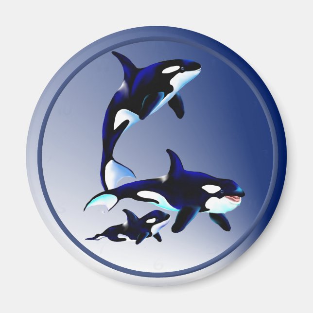 Killer Whale-Familienzmagnete Magnet (Vorne)