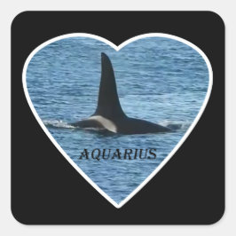 Killer Whale Fin "Aquarius" Quadratischer Aufkleber