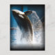 Killer Whale Jumping Postkarte (Vorderseite)