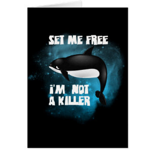 Killer Whale - Orca