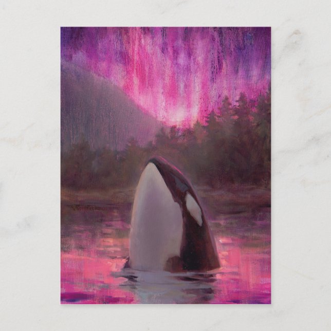 Killer Whale Orca und Pink/Magenta Northern Lights Postkarte (Vorderseite)