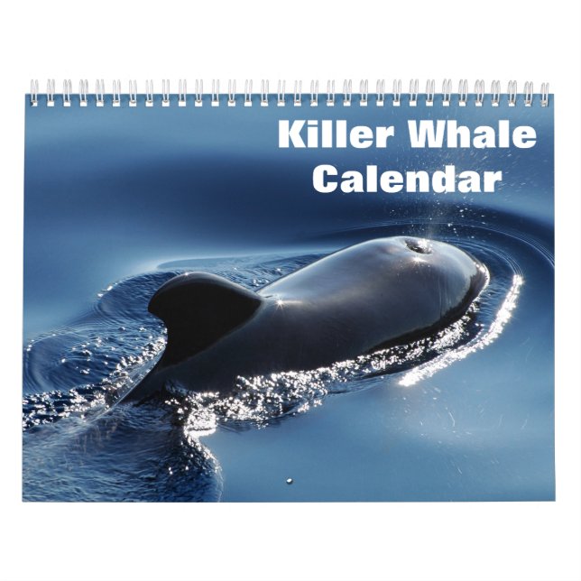 Killer Whale Orcas 2025 Kalender (Titelbild)