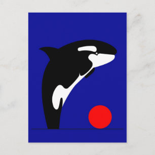 Killer Whale Postkarte