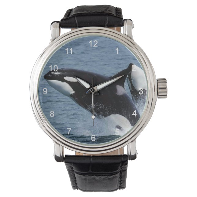 Killer whales armbanduhr (Vorderseite)