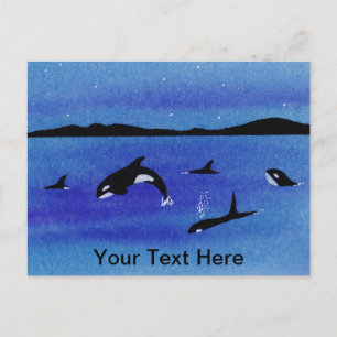 Killer Whales Postkarte