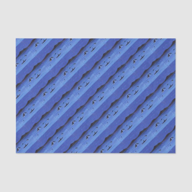 Killer Whales Seidenpapier (Vorderseite)