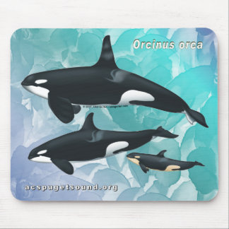 Killerwal-Familie Mousepad blaues Aquarell bkg