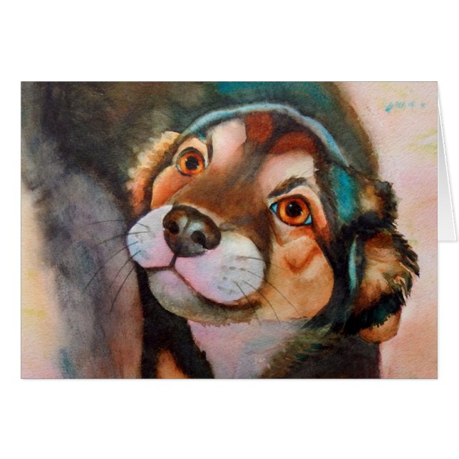 Kimba Shepherd Terrier Dog Mix (Vorderseite (Horizontal))