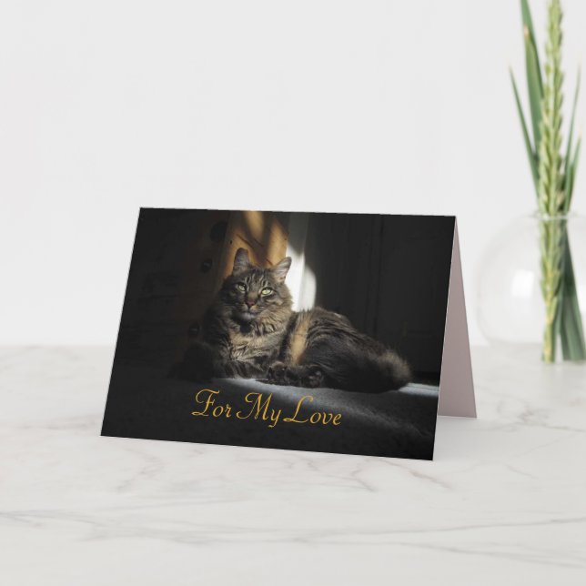 Kimber Cat Slivers der Sunlight Anniversary Card Karte (Vorderseite)