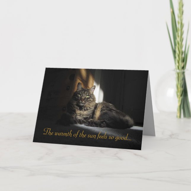 Kimber Cat Slivers of Sunlight I Liebe You Card Karte (Vorderseite)