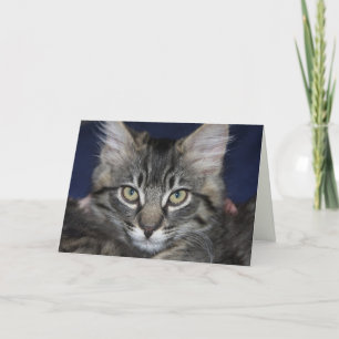 Kimber Kitten Happy Birthday Card Karte