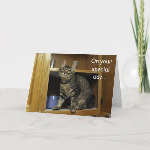 Kimber Kitten im Muttertagskarton Karte