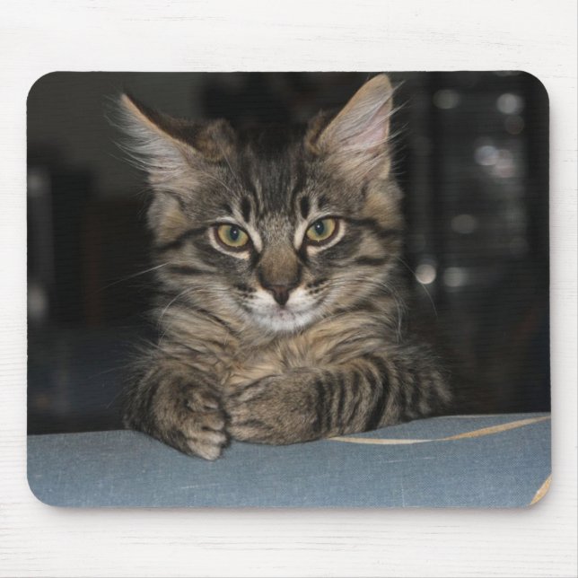 Kimber Kitty sagt: "Oh, wirklich?" Mouspad Mousepad (Vorne)