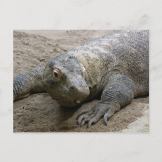 Kimodo Dragon Postkarte