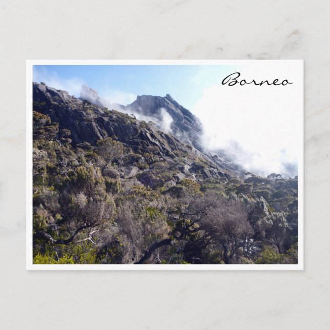 Kinabalu-Borneo-Natur Postkarte (Vorderseite)