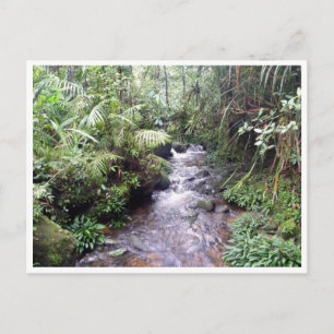 Kinabalu Postkarte