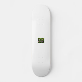Kinafex Zuhause-Seite zazzle.com und Marktplatz Skateboard