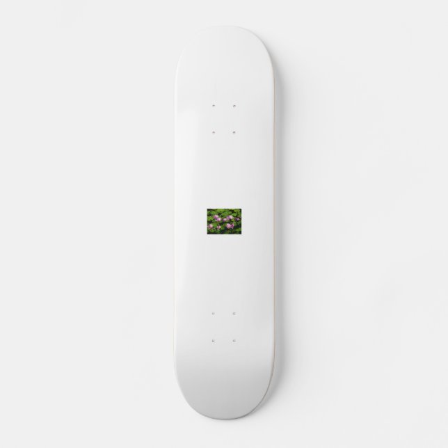 Kinafex Zuhause-Seite zazzle.com und Marktplatz Skateboard (Vorderseite)