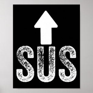 Kinda Sus Game Idk Bro Bruh Meme Funny Video Gamer Poster