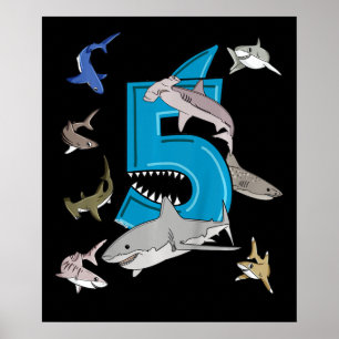 Kinder 5th Birthday Boys Shark White Shark Poster