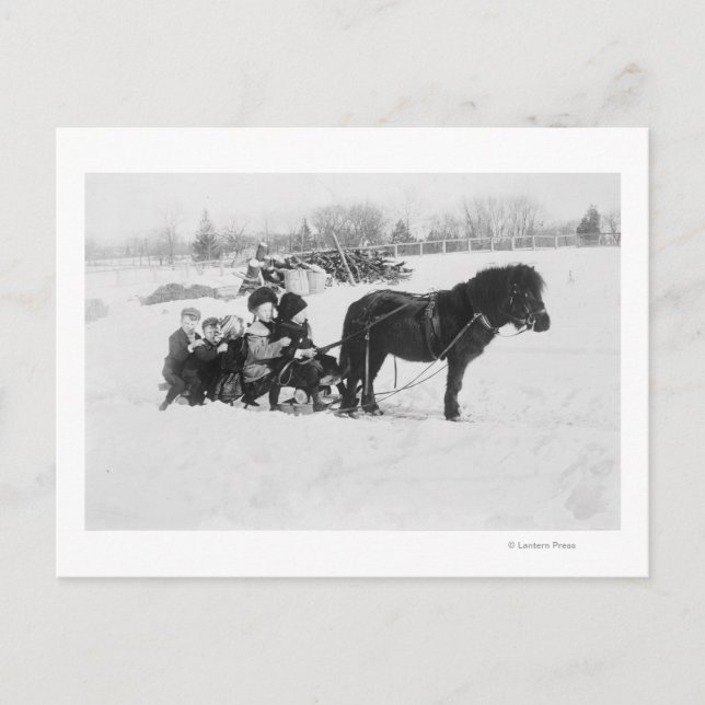 Kinder auf Pony Gezeichnet Schlittenfotografie Postkarte (Vorderseite)