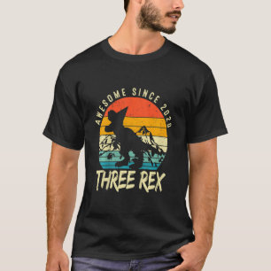 Kinder Drei Rex 3. Geburtstag Junge Dritte Dinosau T-Shirt