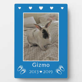 Kinder Haustier Bunny Rabbit Loss | Memorial für b Fotoplatte