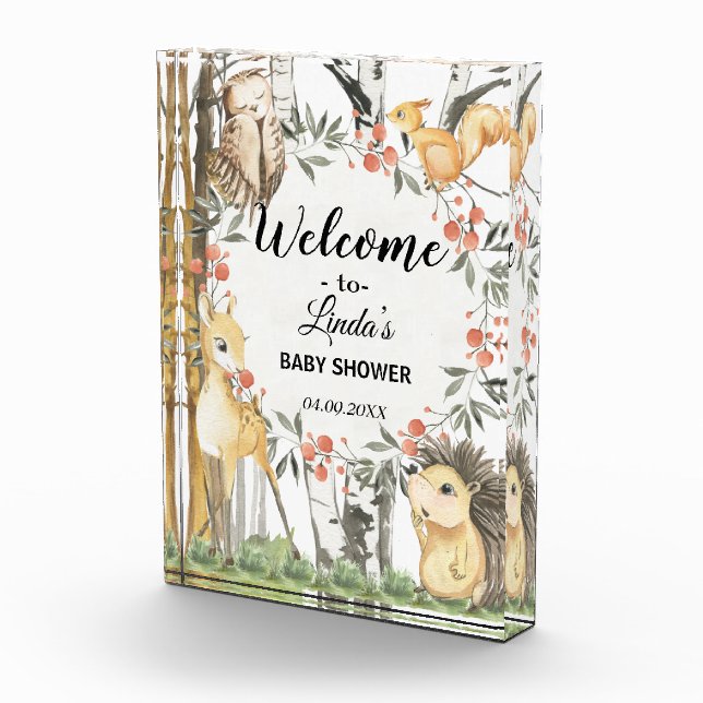 Kinderbücher über Waldbestände und Pflanze in Wäld Fotoblock (Rechts)