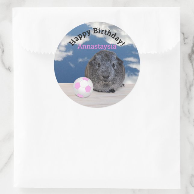 Kinderfreudige Geburtstagsfeier Guinea Pig Pink So Runder Aufkleber (Tasche)
