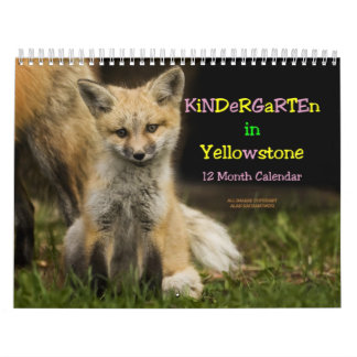 Kindergarten in Yellowstone-Kalender Kalender