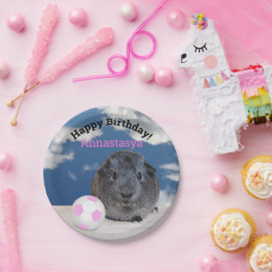 Kindergeburtstag Guinea Pig Rosa Fußball Maßgeschn Pappteller