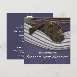 Kindergeburtstags-Schlafparty mit schlafendem Hund Einladung