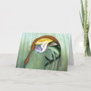 Kindergewinner: Paddelfisch Feiertagskarte