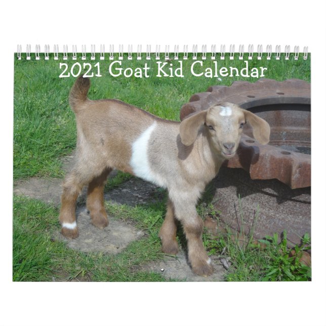 Kinderkalender Kalender (Titelbild)